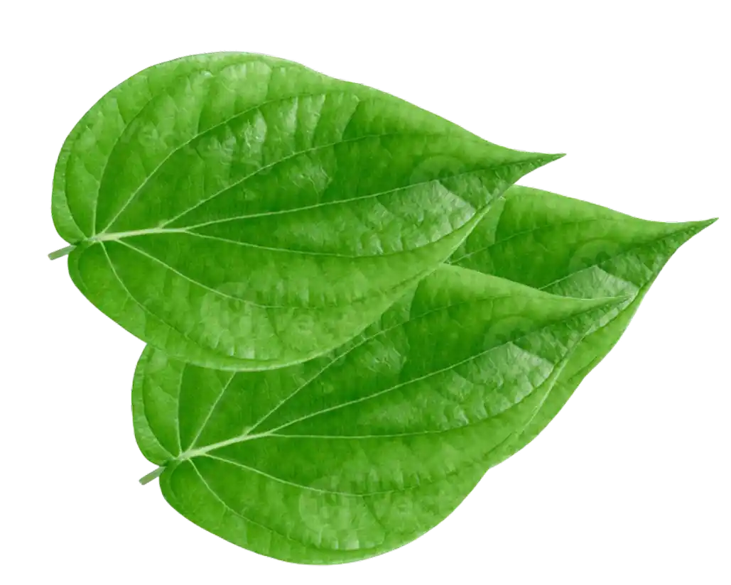 Paan